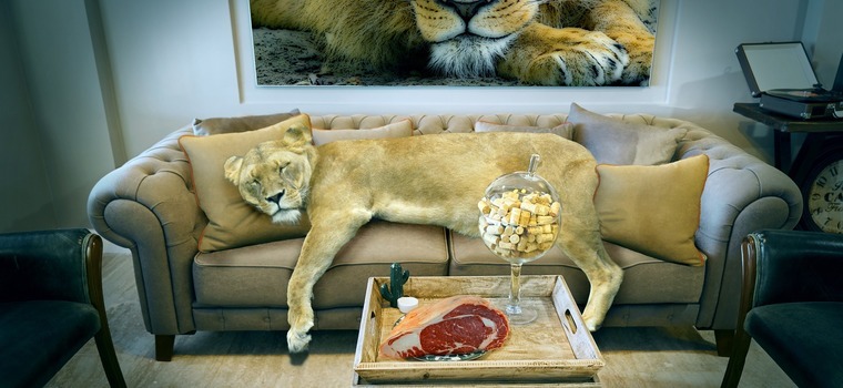 sofa leeuw