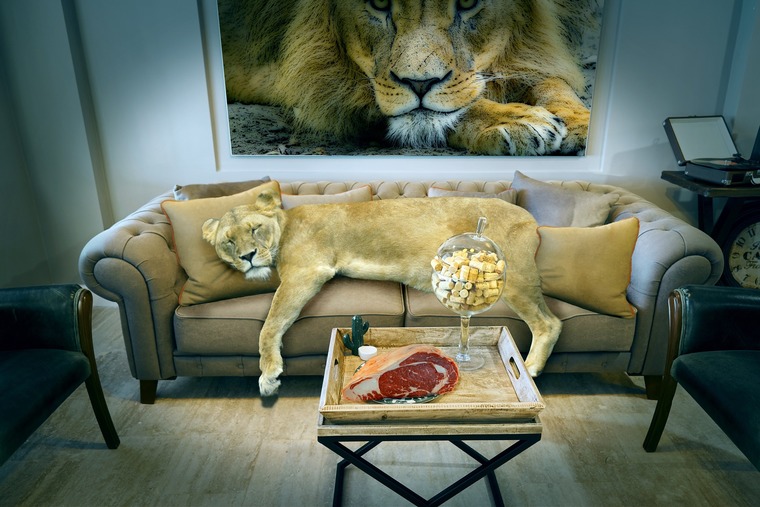 sofa leeuw